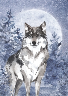 Plagát Vlk